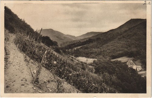 Rhondorf lowenburger tal - ak,